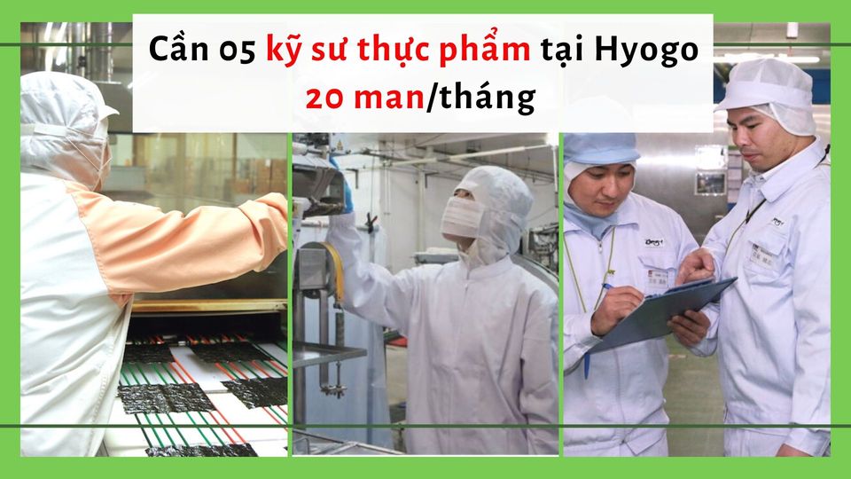 Tuyển gấp 05 kỹ sư thực phẩm làm việc tại Hyogo lương 20 man/tháng